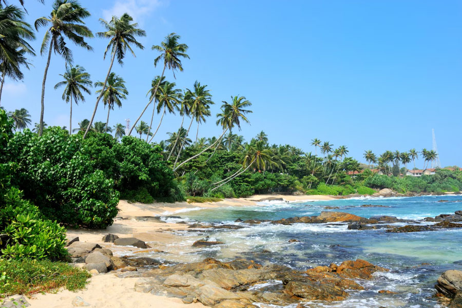 Goa