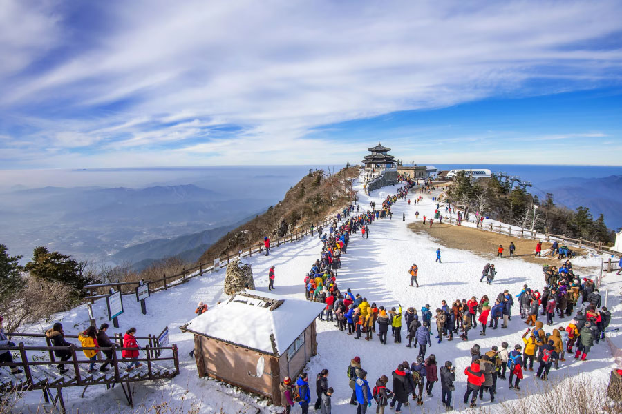 Shimla